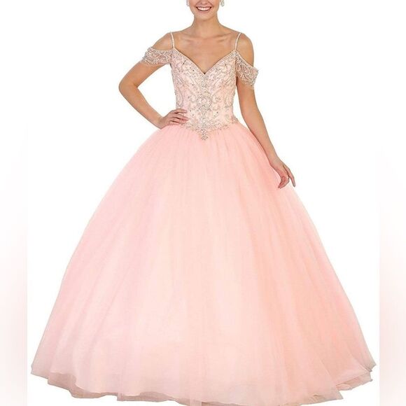 Gorgeous Blush Pink Princess Style Embellished Off-shoulder Tulle Ballgown - Picture 15 of 17